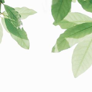 小乔扒开腿做❌同人漫画
